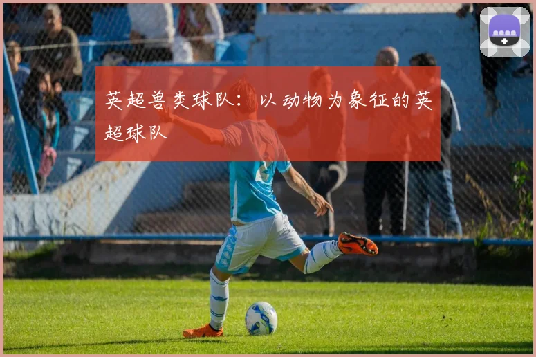 英超兽类球队：以动物为象征的英超球队