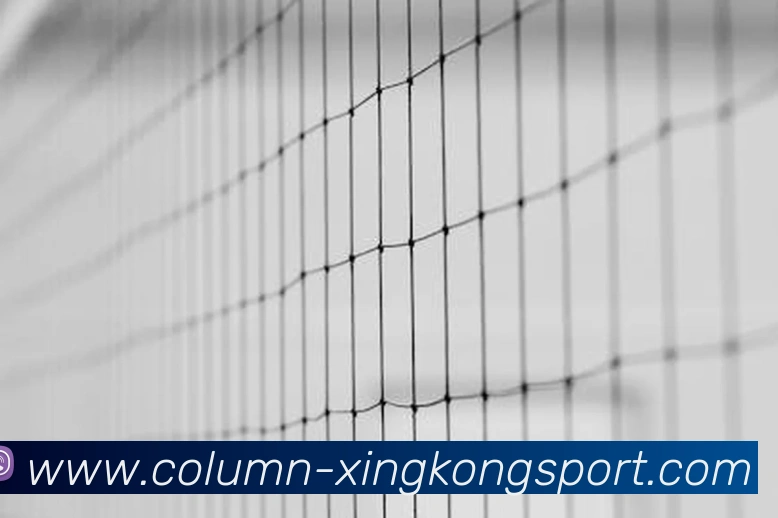 星空体育平台生态图